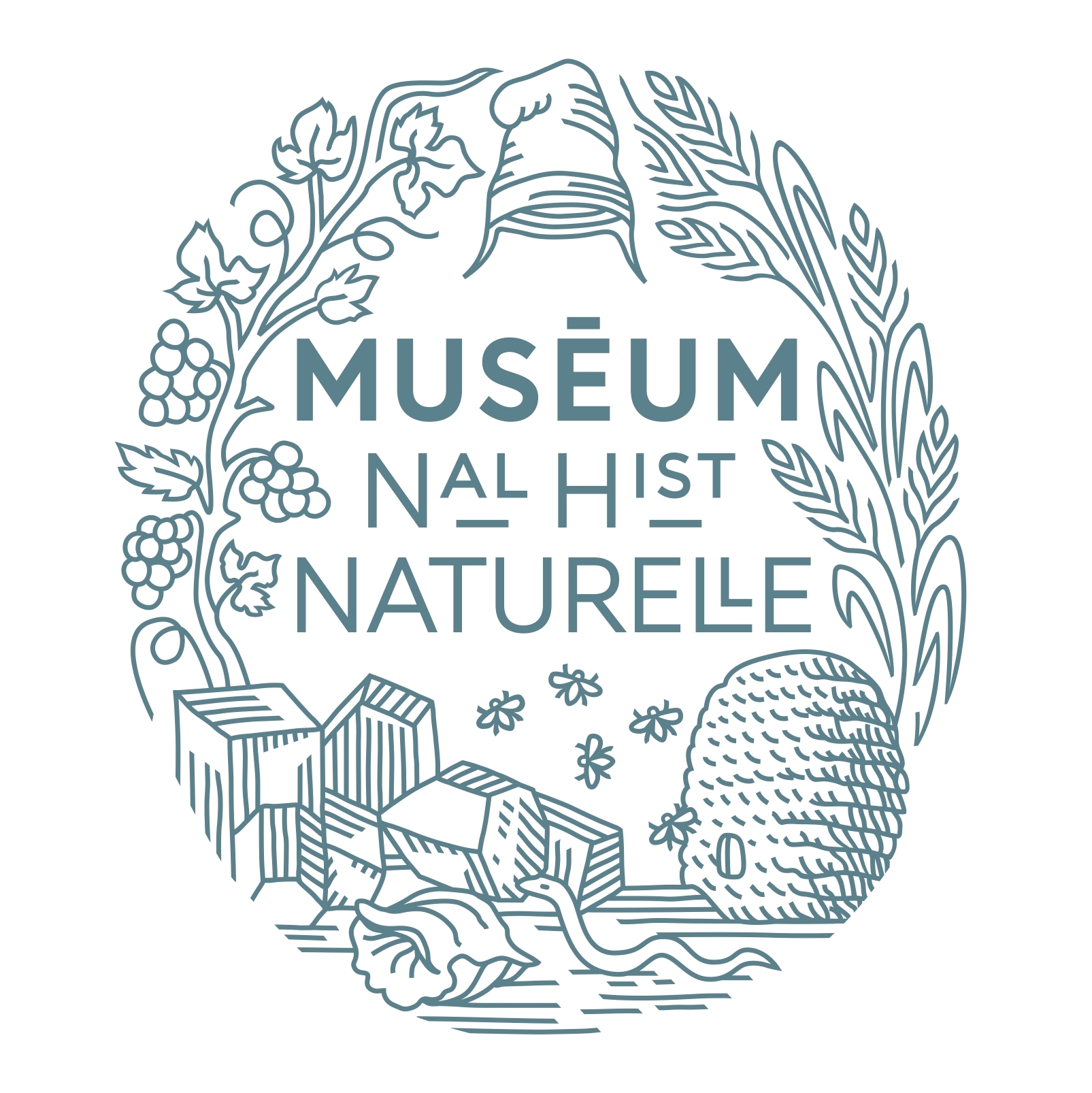 MNHN Charte Logo